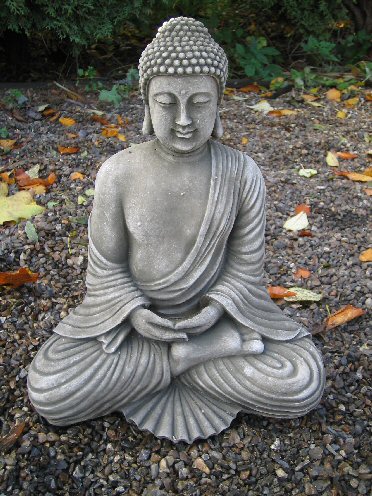 KB31 Buddha KB31 Buddha
